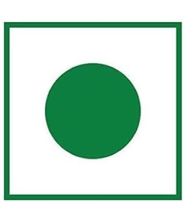 Havilah Gun Powder | Gun podi | Gun Podi powder | Koora karam | sambar karam | Andhra Gun powder |450 g | No Added Preservatives & Colours 450 gm 1 g (Pack of 1) - Buy Online on GoSupps.com