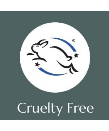 Plant Therapy Christmas Tree Essential Oil Blend 10 mL - 100% Pure & Natural Therapeutic Grade - Buy Online on GoSupps.com