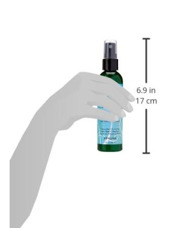 Zerran Radiant Finish Diamond Mist Hair Spray 4 Ounce - Buy Online on GoSupps.com