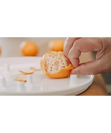 Ms. Kettner One-Hand Plate | Ideal Eating Aid for Stroke & Accident Recovery | Functional Eating Solutions - Buy Online on GoSupps.com