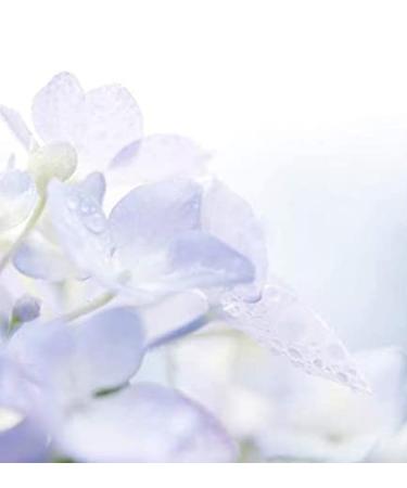 China Rain Perfume Essence China Rain Perfume Oil Alcohol Free Vegan Paraben Free Phthalate Free TSA Ready China Rain 1 Fl Oz (Pack of 1) - Buy Online on GoSupps.com