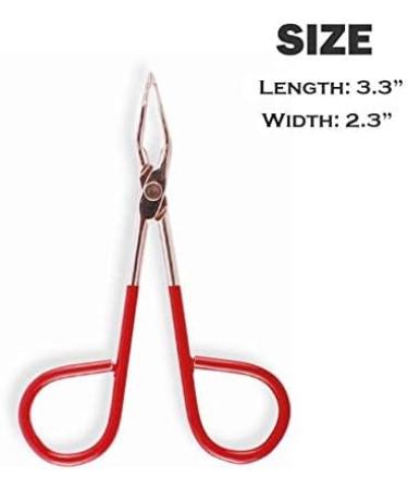 Professional Scissor Handle Tweezers for Precision Eyebrow Grooming - Made in Mexico - Buy Online on GoSupps.com