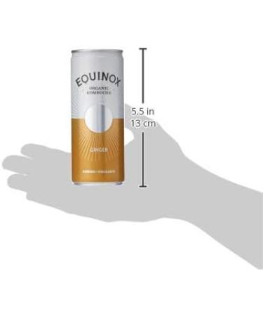 Equinox Kombucha Organic Ginger Fizzy Drink - 250ml Can - Buy Online on GoSupps.com