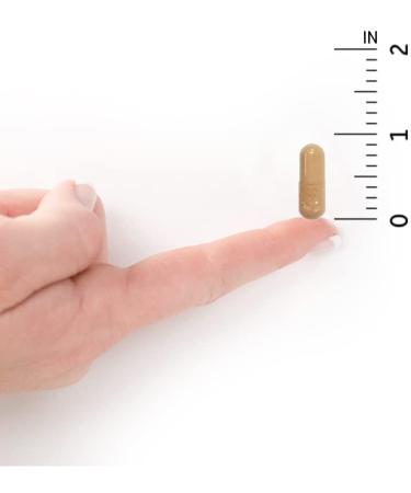 Garden of Life RAW Probiotics Men - 85 Billion CFU | 90 Vegetarian Capsules - Buy Online on GoSupps.com