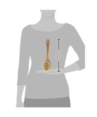 The Body Shop Cactus Body Brush - Exfoliating Dry Skin Brush for Smooth, Radiant Skin - Buy Online on GoSupps.com