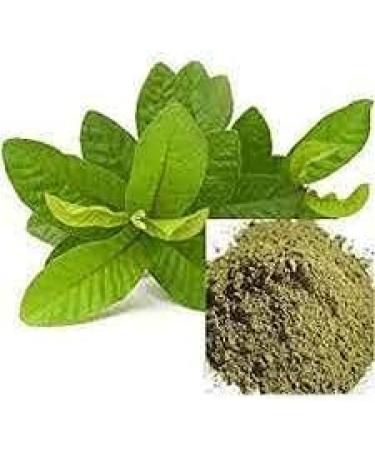 YAAJ Guava Leaf Powder / Amrood Patti / Koiya ilai - 100g - Buy Online on GoSupps.com