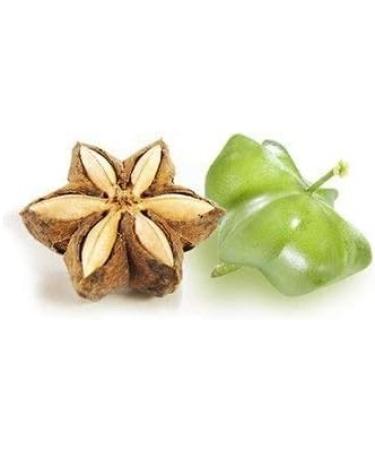 Omega Oil 3-6-9 SACHA INCHI - ORGANIC. 93% Omega: 250 ML - Buy Online on GoSupps.com