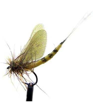 Hemingway's Realistic May Fly Wings Set - Gray | High-Quality Fly Tying Materials - Buy Online on GoSupps.com