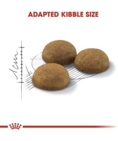 Royal Canin Indoor Long Hair Adult Dry Cat Food 400g - Buy Online on GoSupps.com