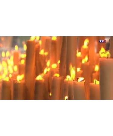 l'acqua santa di Lourdes 13 - Buy Online on GoSupps.com