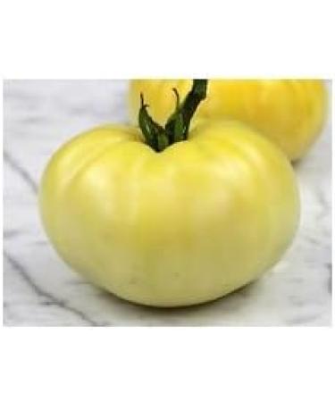 30 Wonder Tomato Cromoruto 2017 (All Non-ogm semi-cimel Vegetable!) - Buy Online on GoSupps.com