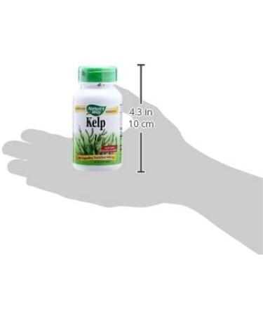 Nature's Way Kelp 600 mg - Non-GMO, Gluten-Free, Vegetarian - 100 Count - Buy Online on GoSupps.com