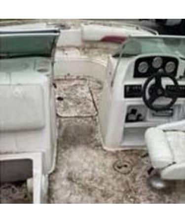 Marine 31 Mildew Stain Remover Gel - Powerful Marine Grade Solution - Buy Online on GoSupps.com