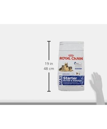 ROYAL CANIN - Maxi Starter Capacity: 4 kg - Buy Online on GoSupps.com