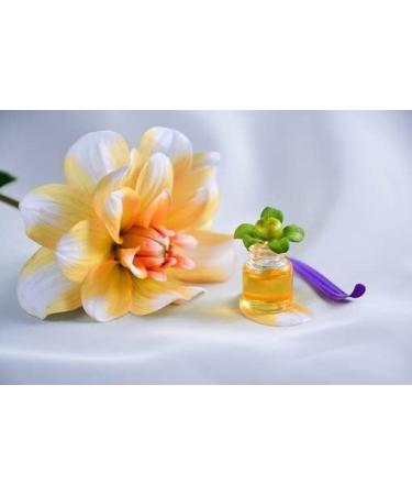  haut segala Laboratoire du Haut-S gala Organic Mustard Oil 50 ml - Buy Online on GoSupps.com