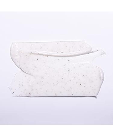 Curls Dynasty Pumpkin Mint Deep Treatment Masque - Moisturizing Hair Mask for Curly Hair - Buy Online on GoSupps.com