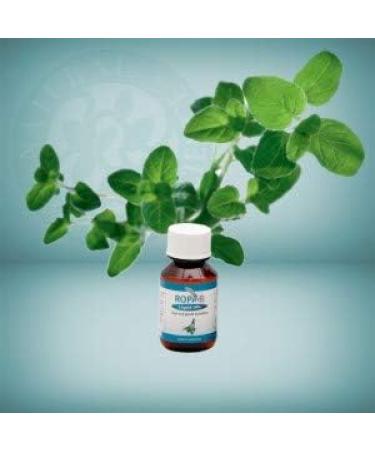 ROPA-B Liquid 10% - Water-Soluble Fertilizer for Optimal Plant Growth | Buy Internationally - Buy Online on GoSupps.com