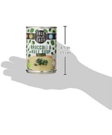 Free and Easy Organic Broccoli and Kale Soup 400 g - Buy Online on GoSupps.com