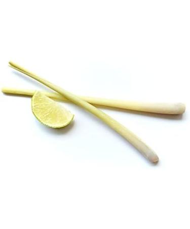 Fragrant Moments Whirlpool Fragrance - Lemongrass Bath Additive 3L | Natural Essential Oils | Cruelty-Free - Buy Online on GoSupps.com