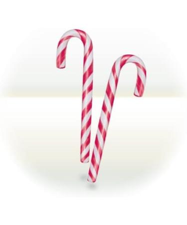  FRUTITOSCOM Candy canes - Christmas candy canes - Jar of 100 units - Lollipops (White / red) - Buy Online on GoSupps.com