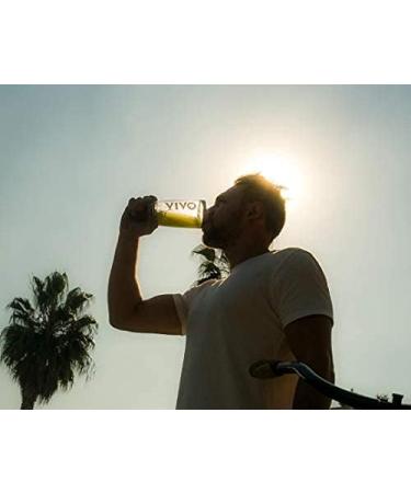 Vivo Life Perform - Raw Vegan Protein Powder | Pea & Hemp Protein with BCAA | Salted Maca Caramel Flavor | 504g Pack | International Shipping - Buy Online on GoSupps.com