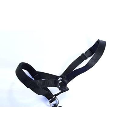 Champion Anti-Pull Training Halter for Dogs Padded 6 Black