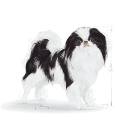 Royal Canin Sterilised X-SMALL | 1.5 kg | Complete Food for Very Small Dogs | For Adult and Neutered Very Small Dogs with Tendency to Weight Gain | Dry Food - Buy Online on GoSupps.com