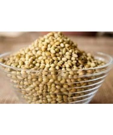 Organic Coriander Seed 50 g - Resealable Biodegradable Freshness Bag (50 g) - Buy Online on GoSupps.com