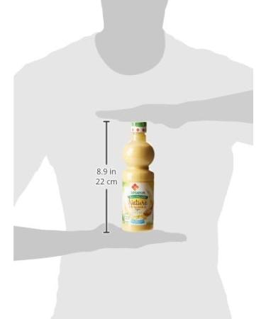 Lesieur Sauce Light Salad with Dijon Mustard Bottle of 50 cl - Buy Online on GoSupps.com