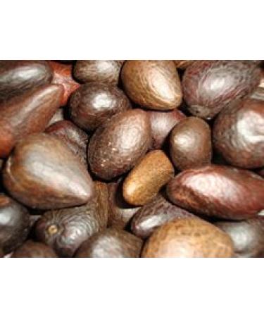 Paris Fragrances Murumuru Butter (16 Oz) - Natural Unrefined - Sustainable Product of The Brazilian Amazon - Extraction: Cold Pressed - Buy Online on GoSupps.com