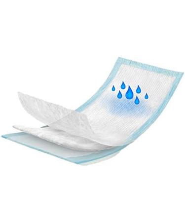 Akuku Maternity Postpartum Pads - Comfort & Protection for New Moms | 10 Count - Buy Online on GoSupps.com