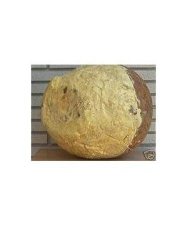 Raw Unrefined Yellow African Shea Butter-16 oz.