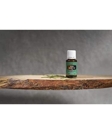 Young Living Idaho Grand Fir Essential Oil - 5 ml | Grounding Evergreen Aroma for Meditation & Well-Being | Skin Soothing & Deeper Breathing Support - Buy Online on GoSupps.com