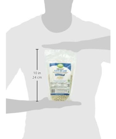 Everland Organic Navy Beans 454 g (Pack of 1) - Buy Online on GoSupps.com