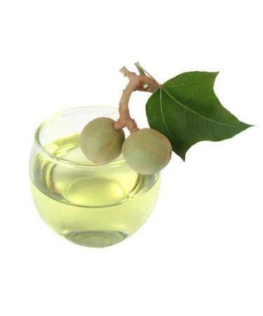 100% Organic Kukui Nut Oil - Imported from Hawaii | 2oz Glass Bottle with Dropper | Natural Moisturizer for Skin Hair & Face | Sweet Essentials - Buy Online on GoSupps.com