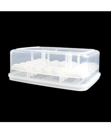 16 Grids Reptile Breeder Box - Professional Plastic Breeding & Hatching Incubator for Reptiles - Ideal for Snakes, Lizards, Turtles, and Geckos - Includes Eggs Tray - 6.6 x 4.8 x 2.4 inches - Buy Online on GoSupps.com