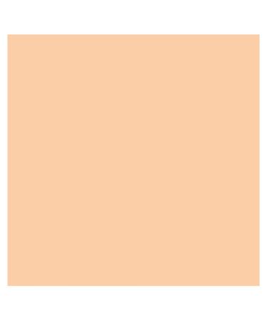 Clinique Even Better Refresh Hydrating Foundation WN 38 Stone - Repairing Makeup - Buy Online on GoSupps.com