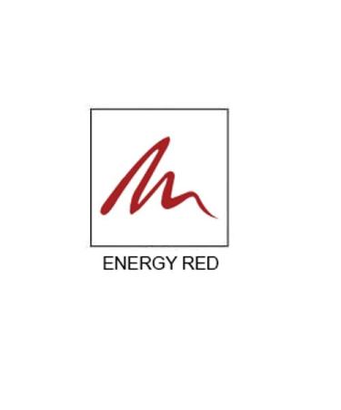 Lip Ink Liquid Lip Liner - Energy Red | 100% Organic & Vegan Makeup for Women | International Shipping Available - Buy Online on GoSupps.com