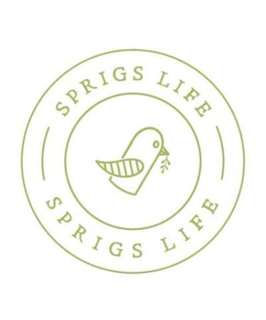 Dental health formula Black Walnut - Organic Fluoride (4 oz) 2 Fl Oz (Pack of 1) - Buy Online on GoSupps.com