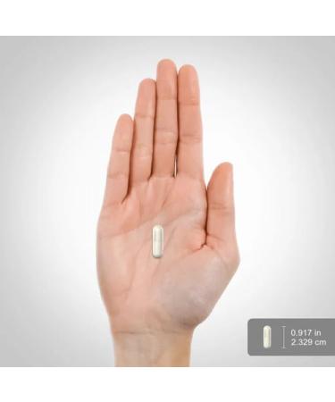 Piping Rock Raspberry Ketones 500mg | 160 Capsules | Non-GMO & Gluten Free Supplement - Buy Online on GoSupps.com