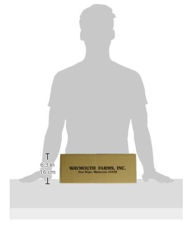 Good Sense Roasted & Salted Sunflower Nuts - 96 Ounces (Pack of 12) | Shelled Sunflower Seeds in 8 Ounce Bags - Buy Online on GoSupps.com