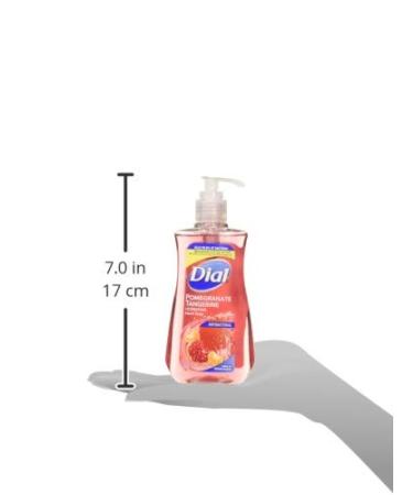 Dial Pomegranate & Tangerine Antibacterial Hand Soap with Moisturizer 7.5 Oz. (Pack of 4) - Buy Online on GoSupps.com