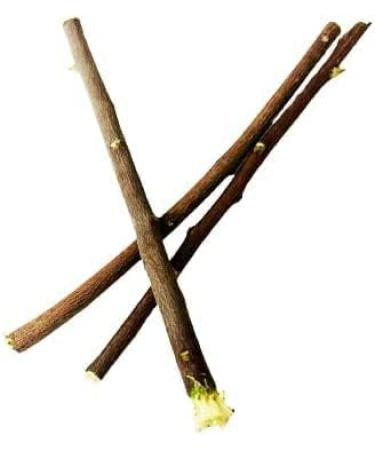 OMC Natural Neem Chew Sticks (Pack of 10) - Organic Neem Datun Toothbrush for Bad Breath & Toothache Relief (6 Inch) - Buy Online on GoSupps.com