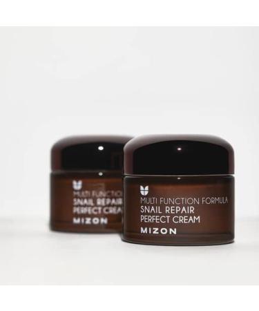 MIZON Snail Repair Perfect Cream 50ml - Hydration, Wrinkle-care, Nutrition | Paraben Free Korean Skin-care - Buy Online on GoSupps.com