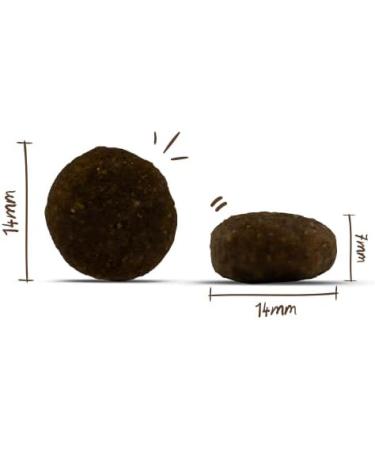 Bosch HPC MENUE Junior Dry Dog Food with Turkey + Oats & Millet | Dry Dog Food for Breeding Medium Breeds | 1 x 1 kg - Buy Online on GoSupps.com