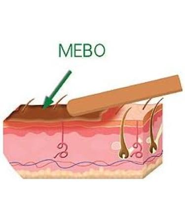 Mebo Burn Fast Pain Relief Healing Cream 30g - No Marks, Effective Relief - Buy Online on GoSupps.com