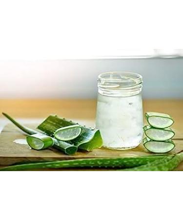 100% Organic Alovera Gel with Pure Aloe Vera & Vitamin E Chemical Free Paraben & Silicone Free Suits All Skin & Hair Types - Buy Online on GoSupps.com
