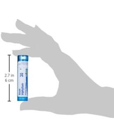 Boiron Arum Triphyllum 30C - Homeopathic Medicine for Hoarseness | 80 Pellets | Shop Internationally - Buy Online on GoSupps.com