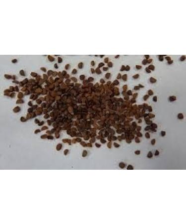 Black cohosh - Buy Online on GoSupps.com