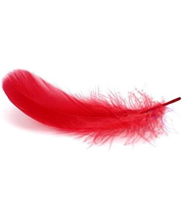 10pcs Fluffy Ostrich Feathers Mixed Colors (10-12) - DIY Wedding & Party Decoration - Buy Online on GoSupps.com